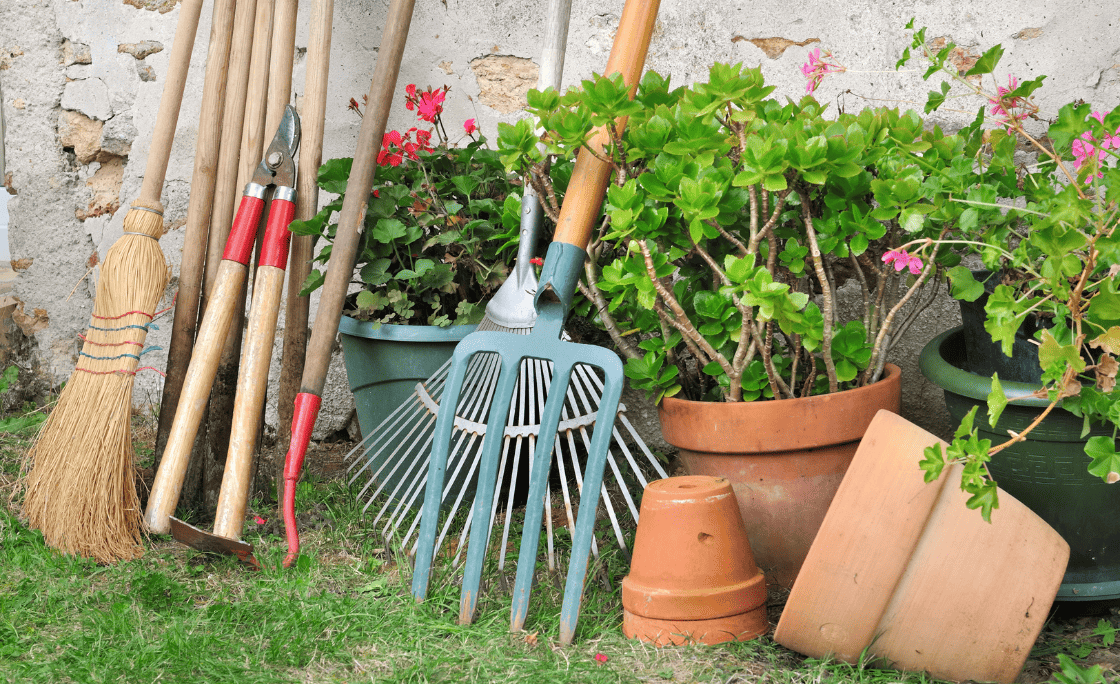 Por qué nosotros entre todas las empresas de mantenimiento de jardines en Carabanchel