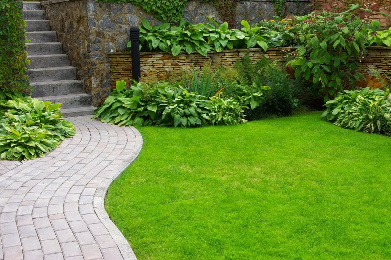 contratar un servicio de jardinería